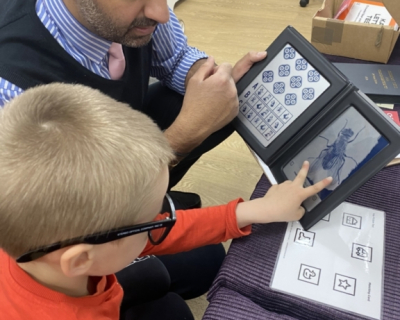 monkey-puzzle-stafford-vision-screening